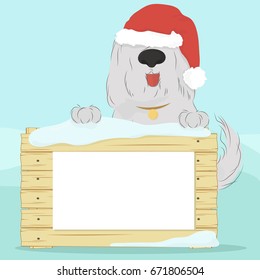 Christmas card with large, shaggy dog breed Bobtail in Santa hat on a blue background holding a wooden surface. A blank paper for your text. Vector illustration