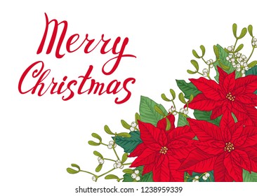 Christmas card made of poinsettia, leaves and mistletoes. Merry Christmas lettering. Floral winter decoration. Vector objects on white background.