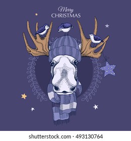 Christmas card. Moose portrait in a knitted hat and scarf with a birds on the night. Vector illustration.