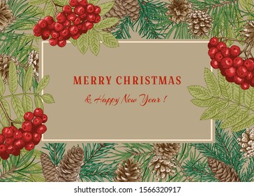 Christmas card with pine branches and cones on a beige background. Vector botanical vintage illustration.
