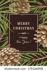 Christmas card with pine branches and cones. Card with coniferous plants. Botanical vector illustration. Dark background.

