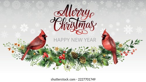 Christmas card with pine garland, red cardinal birds and lettering phrase Merry Christmas. Spruce branch with cones, mistletoe leaves and berries. Vector illustration.