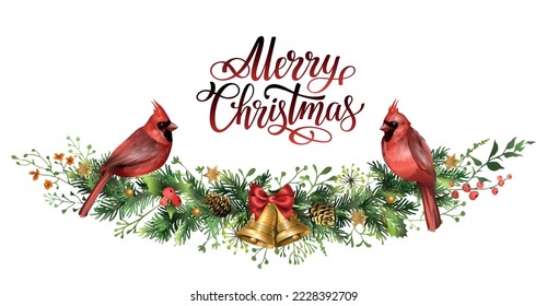 Christmas card with pine garland, red cardinal birds and lettering inscription Merry Christmas. Spruce branch with cones, jingle bells, berries. Vector illustration.