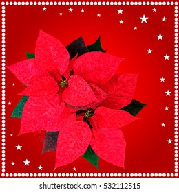 Christmas card. Poinsettia.