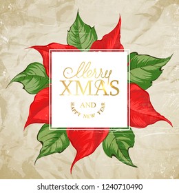 Christmas card with poinsettia flower and template text. Vector illustration.