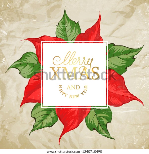 Christmas Card Poinsettia Flower Template Text Stock Vector