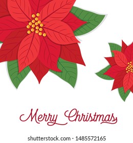 Christmas card with poinsettias design, vector illustration