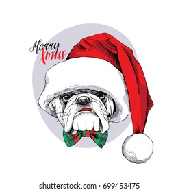 Christmas card. Portrait of a Bulldog in a Santa's cap and in a bow tie. Vector illustration.