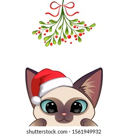 Christmas card Portrait of cute cat character design in Santa's cap under the mistletoe vector illustration