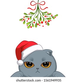 Christmas card Portrait of cute cat character design in Santa's cap under the mistletoe vector illustration