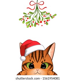 Christmas card Portrait of cute cat character design in Santa's cap under the mistletoe vector illustration