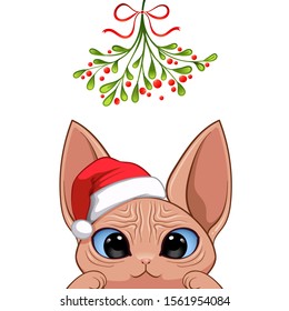 Christmas card Portrait of cute cat character design in Santa's cap under the mistletoe vector illustration