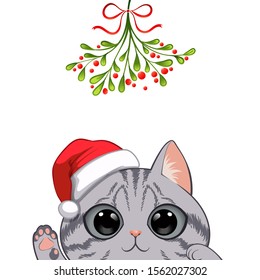 Christmas card Portrait of cute cat character design in Santa's cap under the mistletoe vector illustration