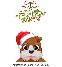 Christmas card Portrait of cute dog character design in Santa's cap under the mistletoe vector illustration