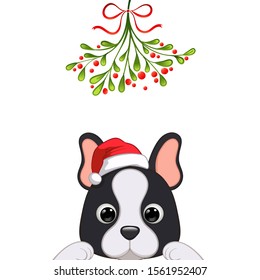 Christmas card Portrait of cute dog character design in Santa's cap under the mistletoe vector illustration