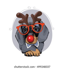 Christmas card. Portrait of a  Dachshund dog in the mask Santa's deer (Horn, glasses, red nose). Vector illustration.
