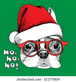 Christmas card. Portrait of French bulldog in a Santa hat and glasses. Vector illustration.