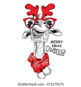 Christmas card. Portrait of a giraffe in the antler mask and red scarf. Vector illustration.