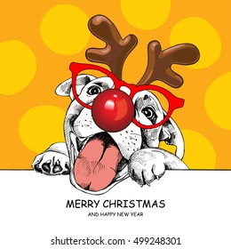 Christmas card. Portrait of a Labrador dog in the mask Santa's deer (Horn, glasses, red nose) on a yellow background. Vector illustration.