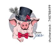 Christmas card. Portrait of the pink Pig in a Snowman top hat and in a bow tie. Vector illustration.