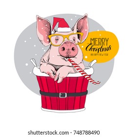 Christmas card. Portrait of the pink Pig in a red Santa's cap, yellow glasses and with a funny party whistle blowing inside of a bucket. Vector illustration. 