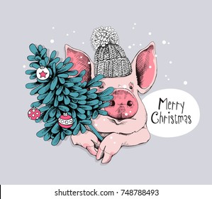 Christmas card. Portrait of the pink Pig in a knitted cap and with a fir-tree. Vector illustration.