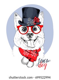 Christmas card  Portrait the Smiling dog in Snowman top hat   in knitted scarf  Vector illustration 