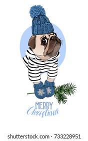 Christmas card. Pug Dog in a striped cardigan, in a blue knitted cap, mittens and with a fir branch. Vector illustration.