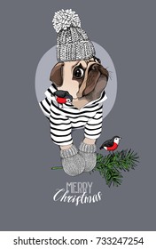 Christmas card. Pug Dog in a striped cardigan, in a knitted cap, mittens and with a fir branch, birds. Vector illustration.