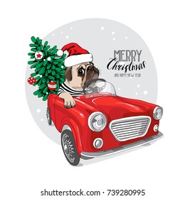 Christmas card. Pug Dog in a striped cardigan and in a Santa's cap inside of the red car. Vector illustration.