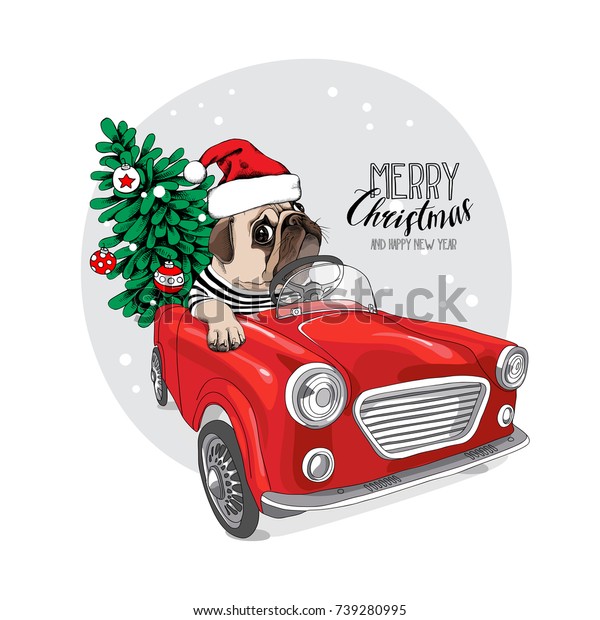 Christmas card. Pug Dog\
in a striped cardigan and in a Santa\'s cap inside of the red car.\
Vector illustration.