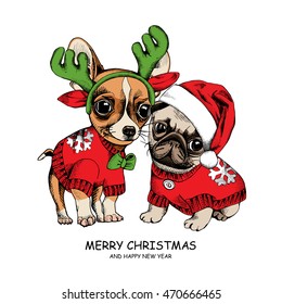 Christmas card. Puppies Pug and Chihuahua in a pullover with snowflake and in a Santa's hat. Vector illustration.