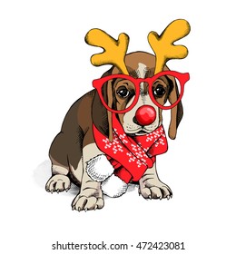 Christmas card. Puppy Beagle in a antler mask and in a red scarf. Vector illustration.