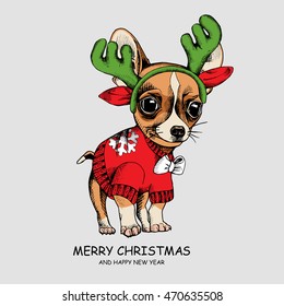 Christmas card. Puppy Chihuahua in a Pullover with snowflake and in a antler mask. Vector illustration.