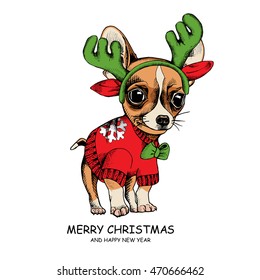 Christmas card. Puppy Chihuahua in a Pullover with snowflake and in a antler mask. Vector illustration.