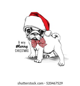 Christmas card. Puppy Pug in a red Santa's cap and with a striped tie. Vector illustration.