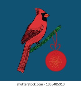 Christmas card with a red cardinal sitting on a fir branch, on which hangs a Christmas tree toy red ball with a gold snowflake. Colored vector illustration of a holiday symbol for design and print.