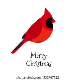 Christmas card with Red cardinal. Vector. Flat design.