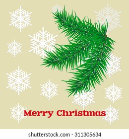 Christmas card with spruce branches. Christmas background with place for your text