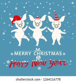 Christmas card with three pigs. Very cute pigs in holiday hats rejoice in falling snow. Cute illustration with cartoon pigs. Merry Christmas and Happy New Year! Year of the Pig 2019.
