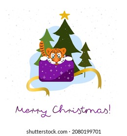 Christmas card with tiger. The tiger cub looks out. Vector illustration. Beautiful Christmas animal for festive decor and postcards, prints and posters