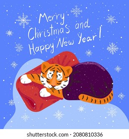 Christmas card with tiger cub is sleeping. Merry Christmas and Happy New Year. Beautiful Christmas animal for festive decor and postcards, prints and posters. Vector illustration. 