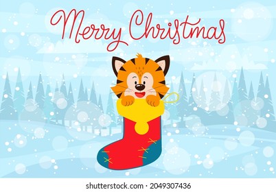 A Christmas card. A tiger cub in a sock for gifts. Vector illustration for postcards, banners, the Internet, decor, design, art, calendar. Greeting card template "Year of the Tiger" 2022.
