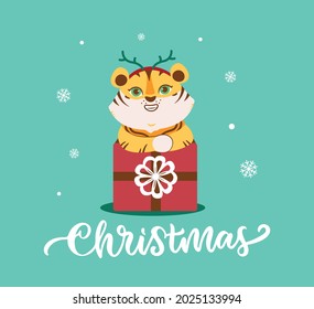 The Christmas card with tiger. The funny wild animal with present and snows is good for holiday designs. The vector illustration