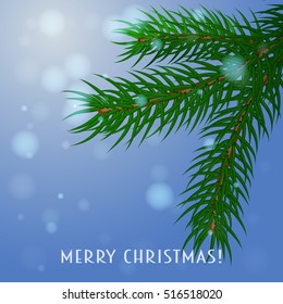 Christmas card, vector. The branch of spruce on a blue background.