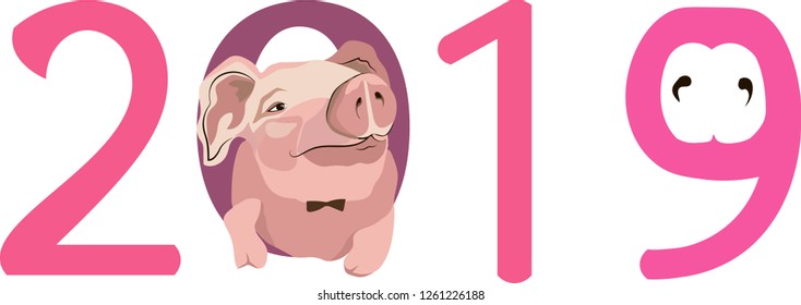 Christmas card, vector graphics, piggy in the hat, 2019 new year
