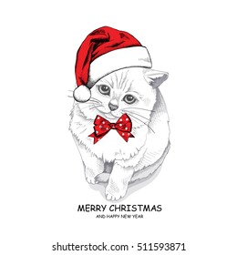 Christmas card. White Scottish kitten in a red Santa's cap with polka dot bow. Vector illustration.