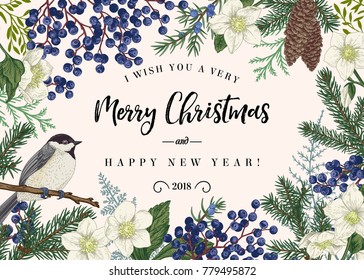 Christmas card with winter plants and a bird. Spruce, cones, juniper, flowers of hellebore, titmouse. Botanical illustration. Vector background.