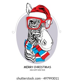 Christmas card. Zebra portrait in a striped scarf and Santa's cap with a red glasses on a gray background. Vector illustration.