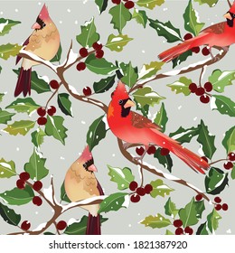Christmas cardinal bird on holly  tree,winter background,illustration vector doodle comic art.